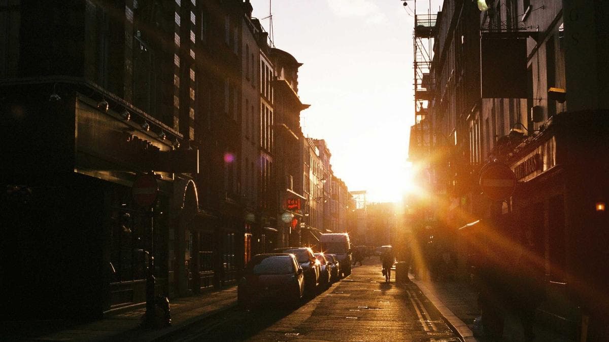 Calgary Ringette Teams Sweep Provincial Medals